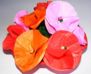 Tissue Paper Flowers