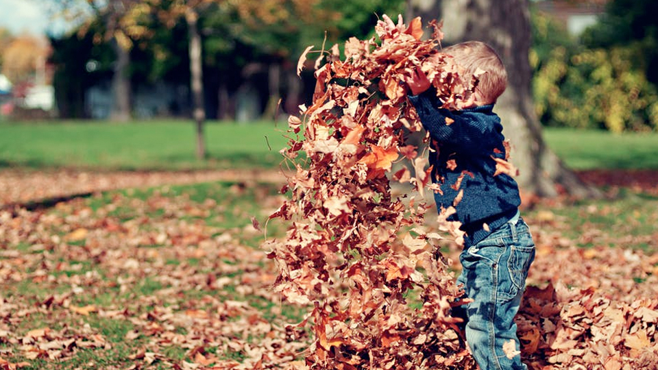 Today's Life Schools & Child Care