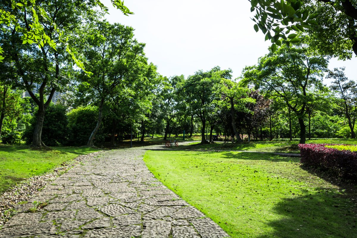 Best Public Playgrounds Near Brooklyn Park, MN